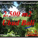 JUAL MURAH TANAH di UBUD BALI 2,500 m2 View Tebing dan Sungai lingkungan Villa