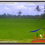 TANAH di UBUD DIJUAL TJUB624