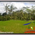 TANAH di UBUD DIJUAL TJUB624