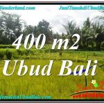 TANAH di UBUD DIJUAL MURAH 400 m2 di Ubud Pejeng