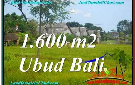 JUAL MURAH TANAH di UBUD BALI 16 Are View Sawah, Link. Villa