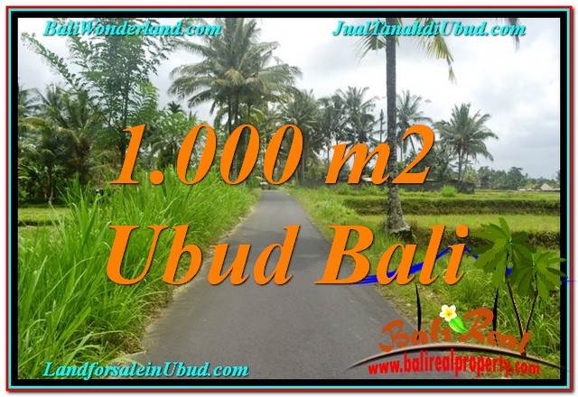 TANAH DIJUAL MURAH di UBUD 10 Are di Ubud Tampak Siring