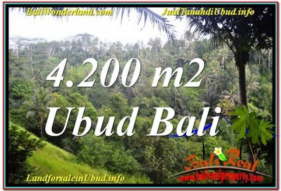 TANAH MURAH DIJUAL di UBUD BALI TJUB639