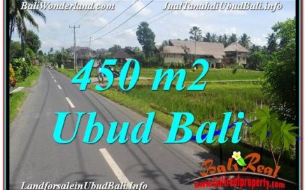 JUAL TANAH di UBUD BALI 5 Are View Sawah, Llink. Villa