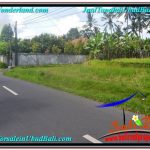 INVESTASI PROPERTI, TANAH DIJUAL MURAH di UBUD TJUB648