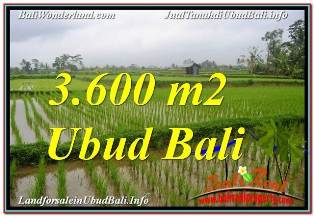 JUAL TANAH di UBUD Untuk INVESTASI TJUB673