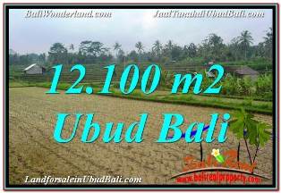 TANAH DIJUAL di UBUD 12,100 m2 di UBUD PAYANGAN