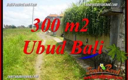 Investasi Property, Tanah Murah di Ubud Bali Dijual TJUB687