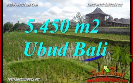 Tanah Murah Dijual di Ubud Untuk Investasi TJUB688