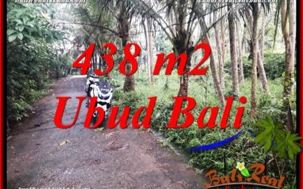 Tanah Dijual di Ubud Bali 4 Are View kebun, lingkungan Villa