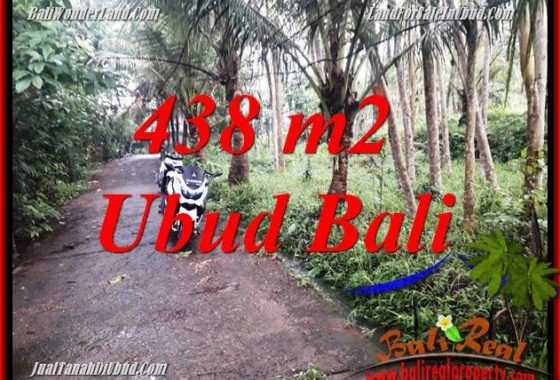 Tanah Dijual di Ubud Bali 4 Are View kebun, lingkungan Villa