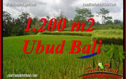 Tanah Murah di Ubud jual 1,200 m2 View sawah, lingkungan Villa