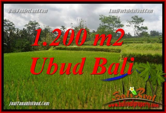 Tanah Murah di Ubud jual 1,200 m2 View sawah, lingkungan Villa