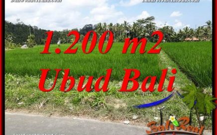 Dijual Murah Tanah di Ubud 1,200 m2 di Ubud Tampak Siring