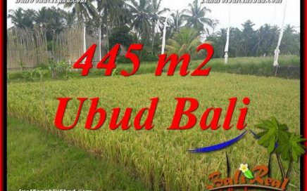 JUAL Murah Tanah di Ubud Bali 4 Are View sawah, lingkungan Villa