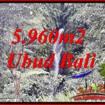 JUAL Tanah di Ubud Untuk Investasi TJUB696