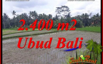 JUAL Murah Tanah di Ubud Bali 24 Are di Ubud Pejeng