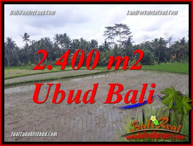 JUAL Murah Tanah di Ubud Bali 24 Are di Ubud Pejeng