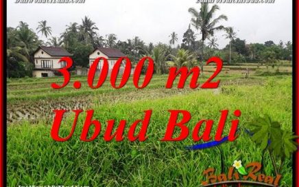 Dijual Tanah Murah di Ubud Bali 30 Are di Ubud Tegalalang