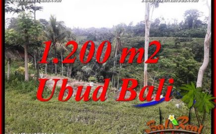 Tanah Dijual di Ubud Bali 1,200 m2 di Ubud Tegalalang