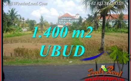 Dijual Murah Tanah di Ubud 14 Are di Sentral Ubud
