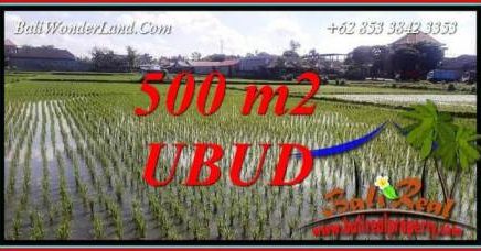 Tanah di Ubud Bali Dijual 5 Are View Sawah