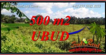 Tanah Murah di Ubud Dijual 5 Are di Sentral Ubud