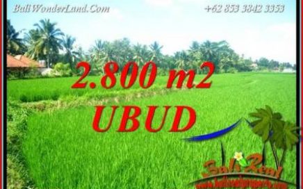 Dijual Tanah Murah di Ubud Bali Untuk Investasi TJUB726