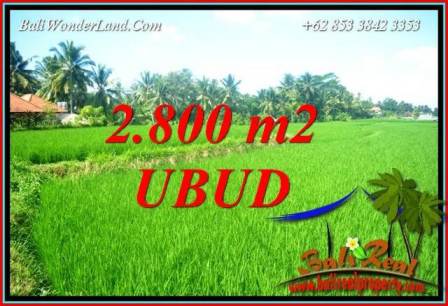 Dijual Tanah Murah di Ubud Bali Untuk Investasi TJUB726