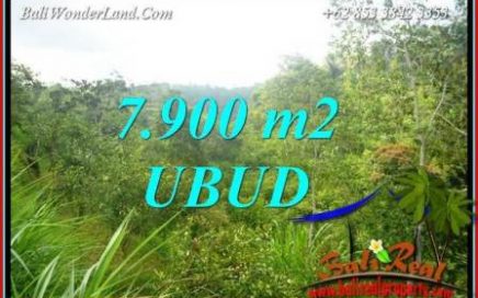 Tanah Dijual di Ubud 7,900 m2 View Tebing dan sungai