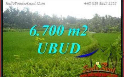 Dijual Murah Tanah di Ubud Bali Untuk Investasi TJUB731
