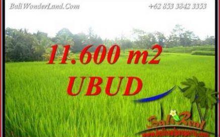 Dijual Murah Tanah di Ubud Bali 11,600 m2 di Ubud Tegalalang