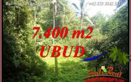 Tanah Murah Dijual di Ubud Bali TJUB734
