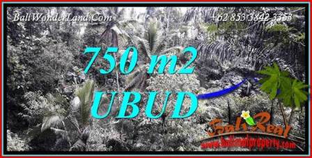 Dijual Murah Tanah di Ubud TJUB742