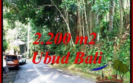 TANAH MURAH di UBUD DIJUAL 2,200 m2 di SENTRAL UBUD