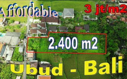 DIJUAL TANAH DI UBUD 2,400 m2 di Ubud Pejeng