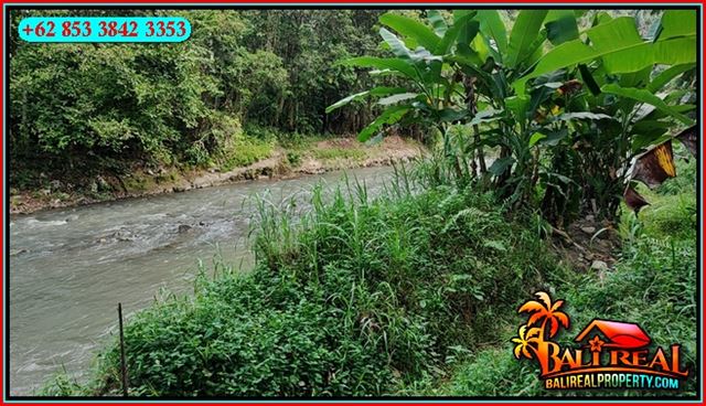TANAH MURAH JUAL   UBUD 2,400 m2  View Jungle Tepi Sungai