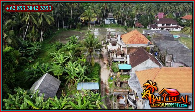 TANAH MURAH JUAL di UBUD BALI 2 Are View Kebun Lingkungan Villa