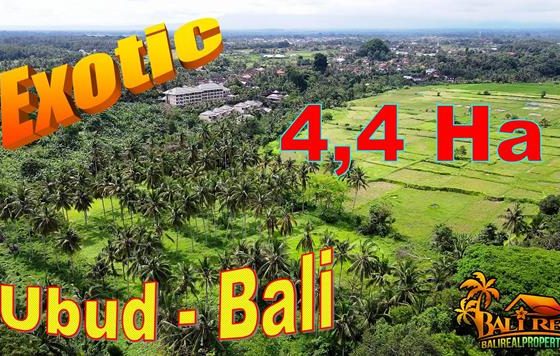 JUAL TANAH MURAH di UBUD BALI 44,000 m2 di Ubud