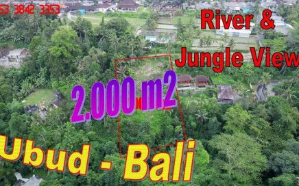 TANAH DIJUAL MURAH di UBUD Untuk INVESTASI TJUB867