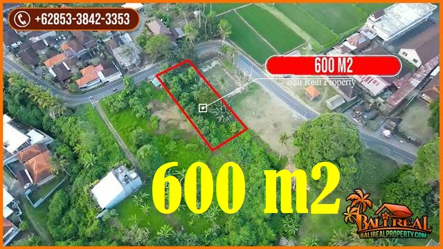TANAH DIJUAL MURAH di UBUD Untuk INVESTASI TJUB863