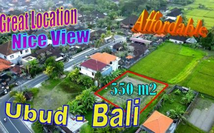 JUAL TANAH DI UBUD BALI 550 m2 di Sukawati Ubud