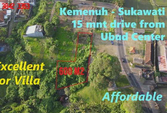 DIJUAL TANAH DI UBUD 600 m2 di Sukawati Ubud