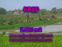 Jual tanah di Bali 2.800 m2 view gunung dan sawah di Dekat sentral Ubud