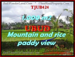 TANAH di UBUD BALI DIJUAL 10 Are di Ubud Tegalalang