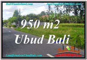 JUAL MURAH TANAH di UBUD BALI 10 Are View Sawah dan Sungai Kecil, Link. Villa