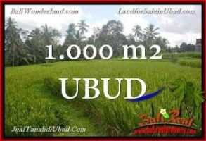 TANAH DIJUAL MURAH di UBUD Lokasi TEGALALANG Untuk INVESTASI TJUB653