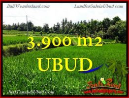 TANAH di UBUD DIJUAL TJUB658