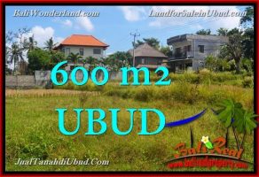 JUAL TANAH MURAH di UBUD BALI 600 m2 di Sentral Ubud