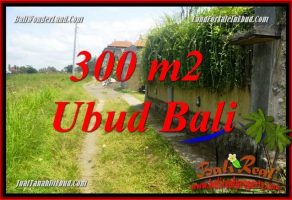 Tanah Dijual di Ubud Bali 3 Are di Lod Tunduh